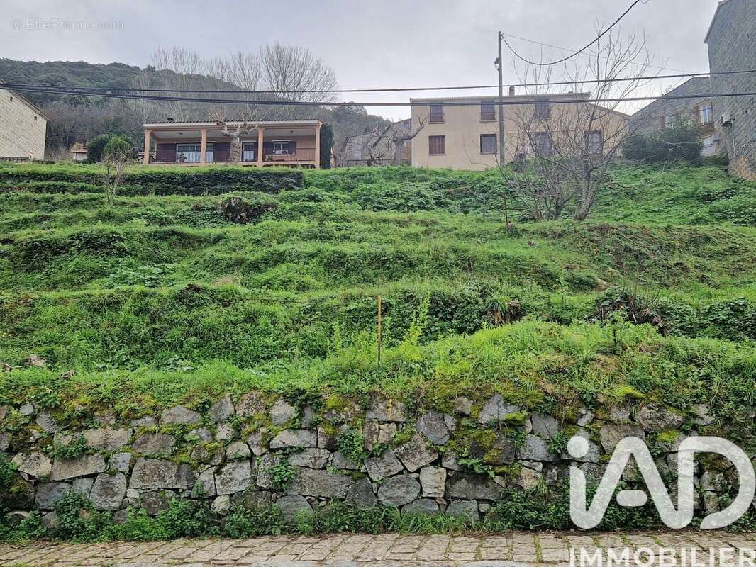 Photo 2 - Terrain à SOLLACARO