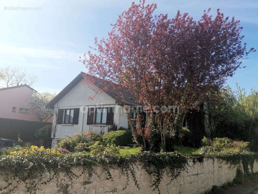 Maison Individuelle terrain 44 ares - photo 13