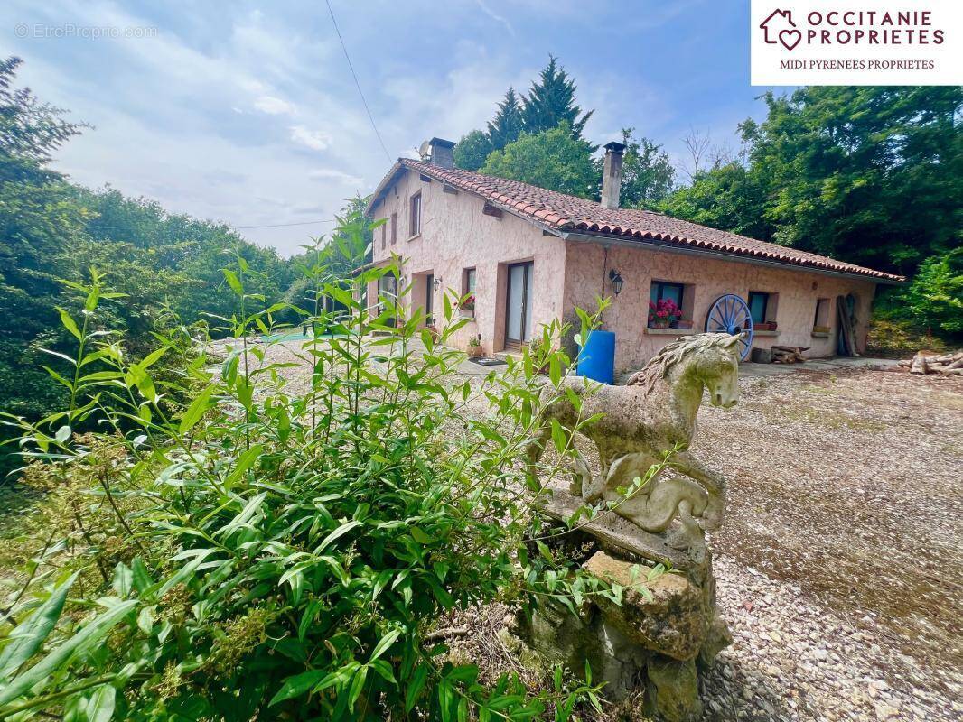 Maison à CARLA-BAYLE