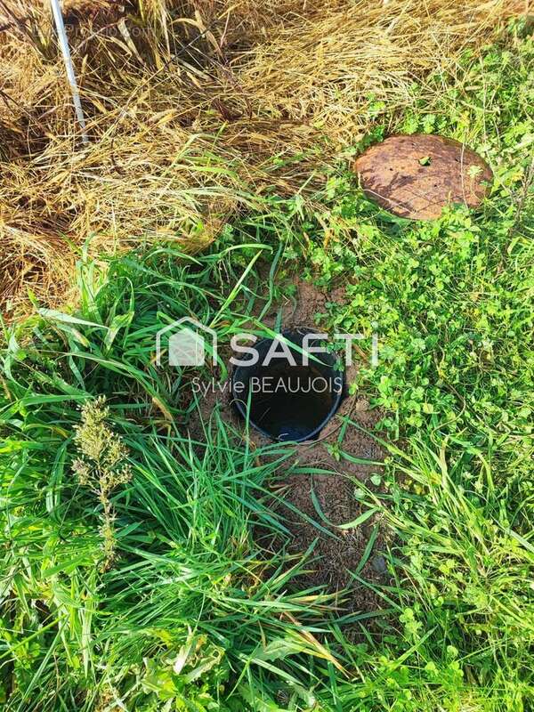 Photo 3 - Terrain à LALINDE