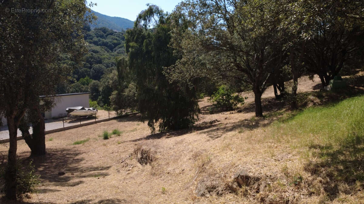Exclusivité, Terrain viabilisé de 1 025 m² avec projet de maison à Alata, Castagnola - photo 8