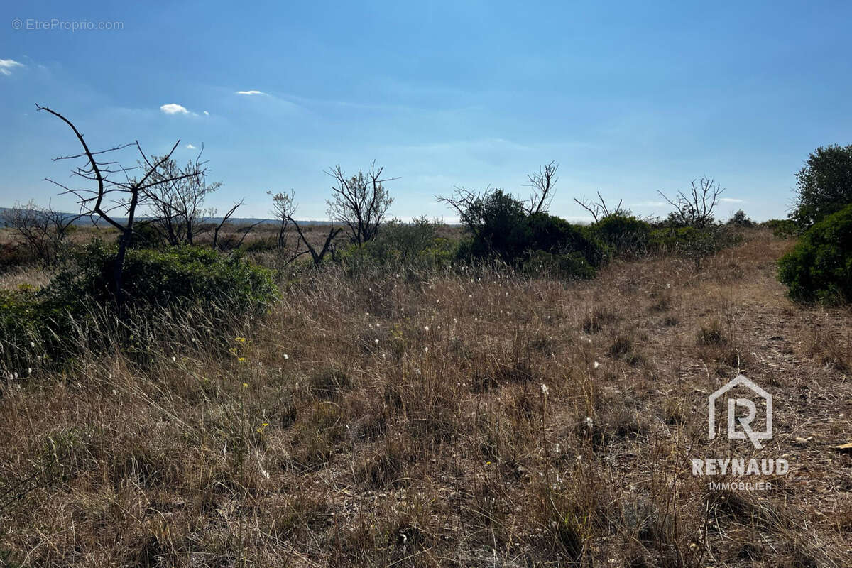 Terrain à GIGNAC