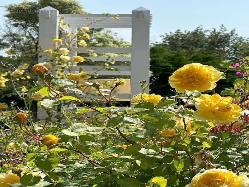 Maison à SIXT-SUR-AFF