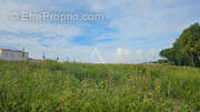 Terrain à PORT-DES-BARQUES