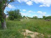 Terrain à ALLEGRE-LES-FUMADES