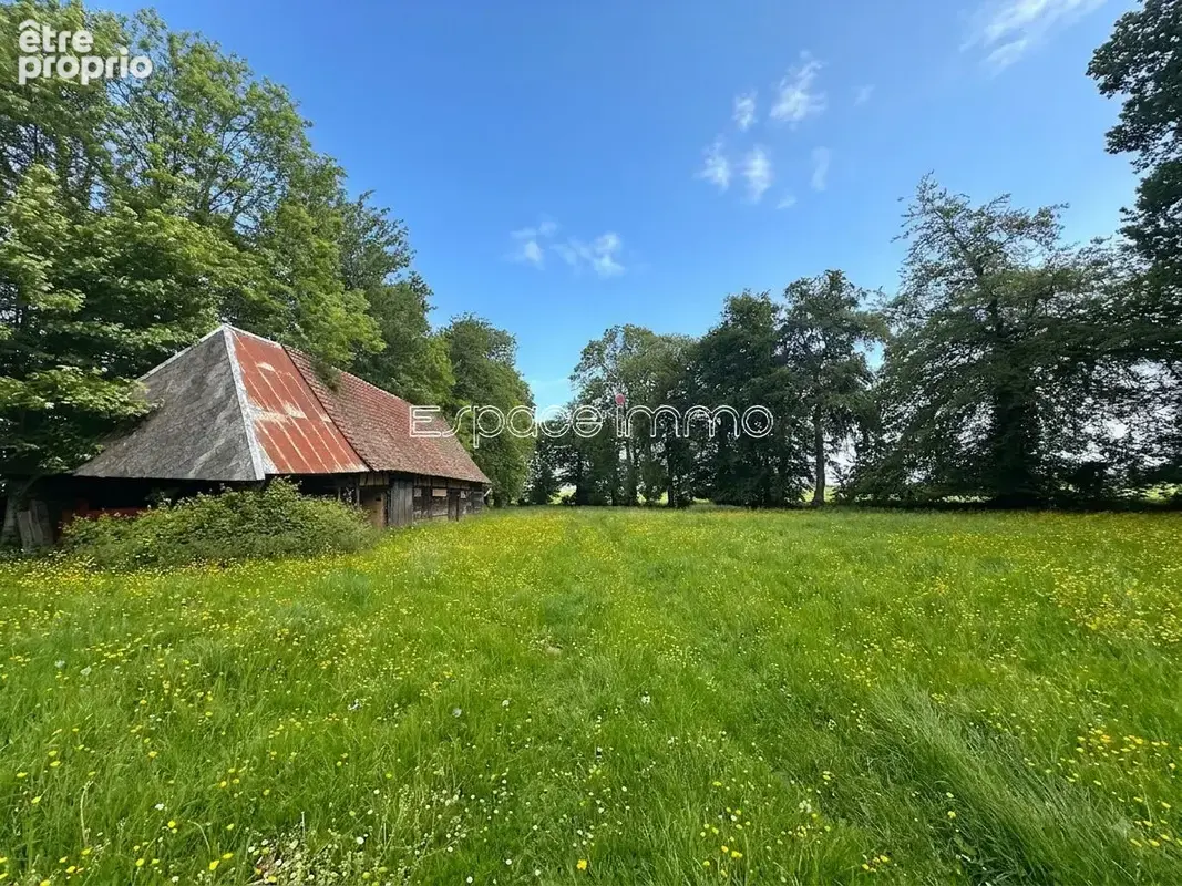 Maison de charme  - 124m² - 4 chambres - Dépendances - 2 Hectares de terrain - GRIGNEUSEVILLE - photo 3