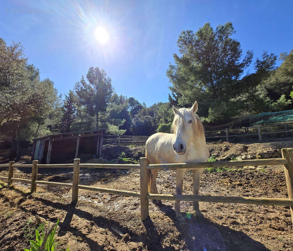 Maison à CLERMONT-L'HERAULT