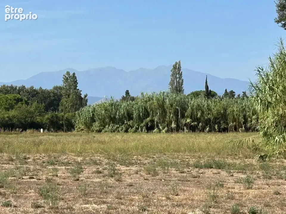Terrain à TOULOUGES
