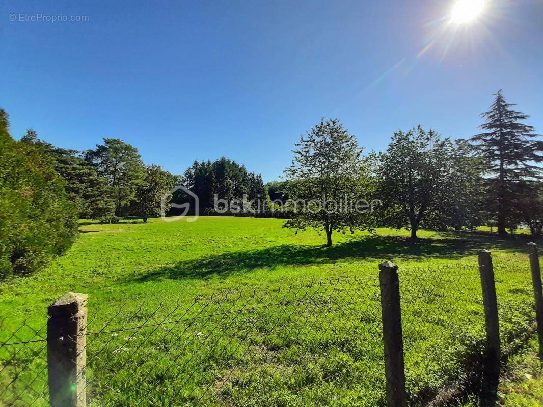 Terrain à COGNAC-LA-FORET
