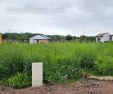 Terrain à VOUNEUIL-SOUS-BIARD