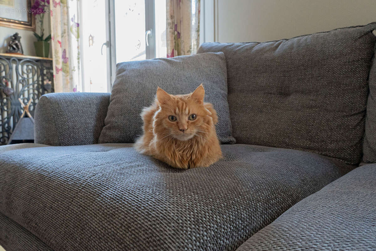 Appartement à BESANCON