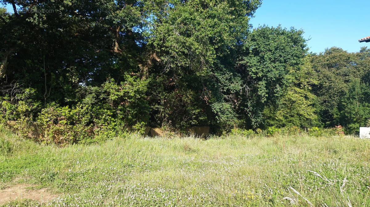 Terrain à ARCANGUES