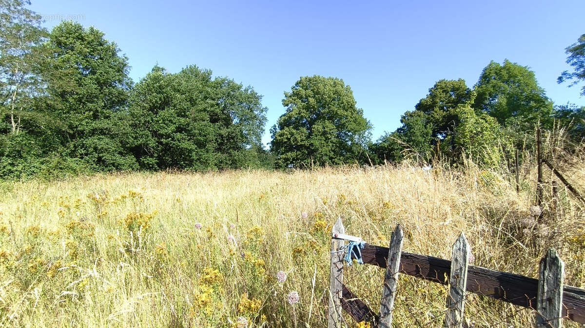 Terrain constructible de 2.800m2 à Capdenac Gare - photo 7