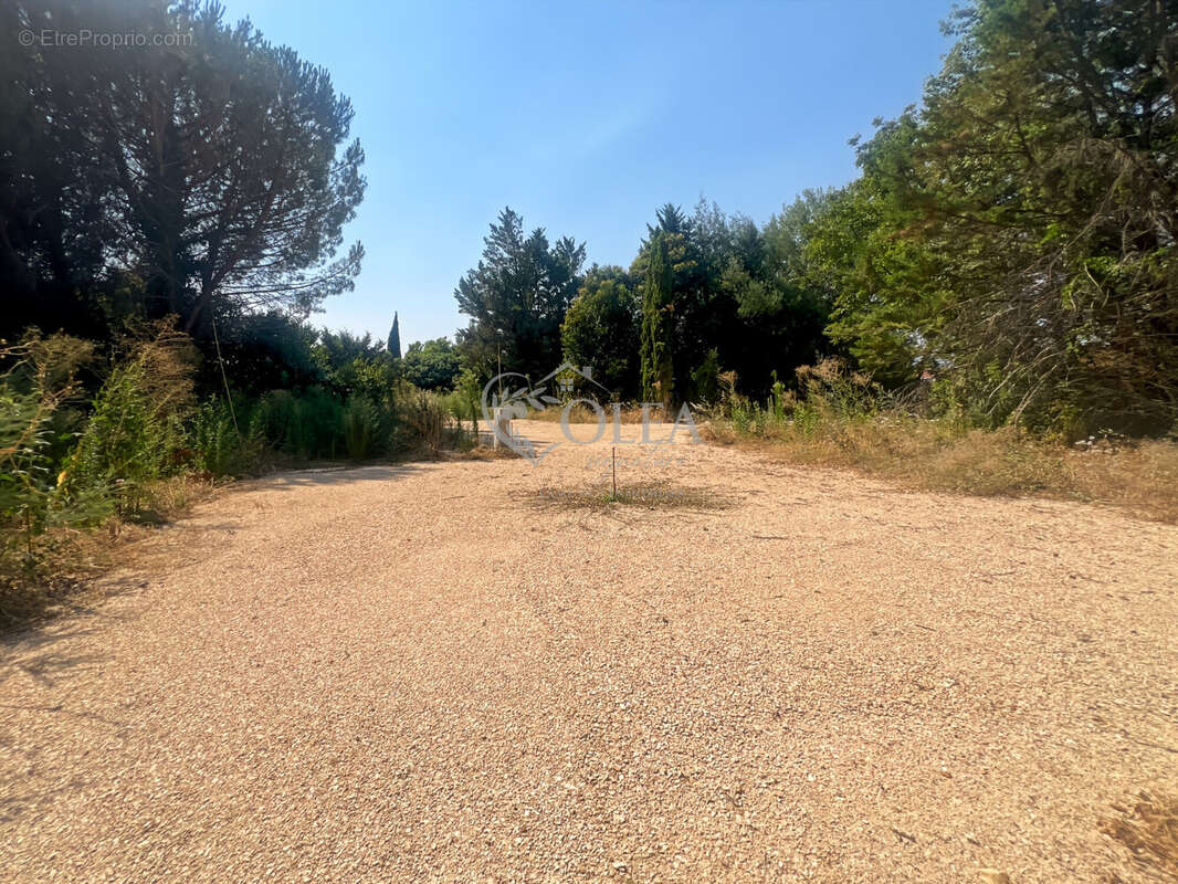Entrée terrain - Terrain à SAINT-QUENTIN-LA-POTERIE