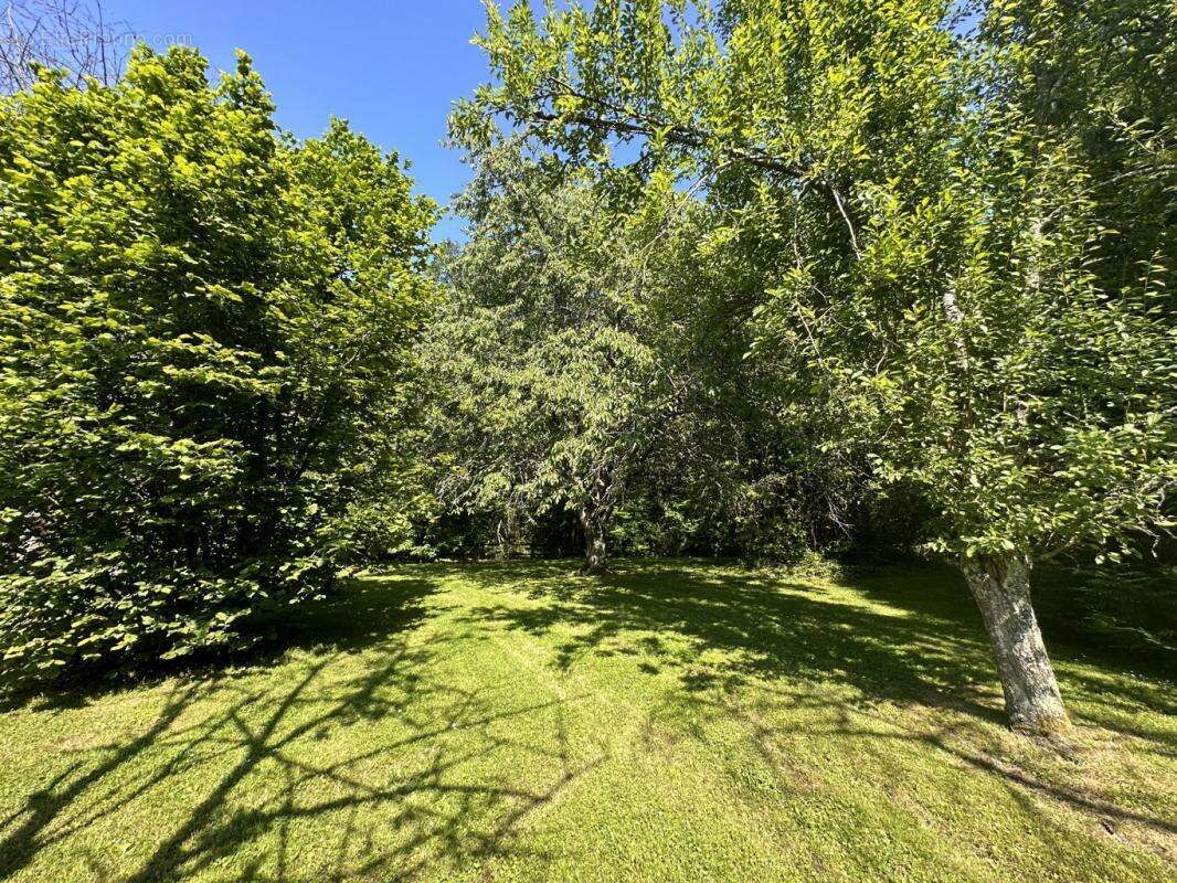 Maison à BELLAVILLIERS