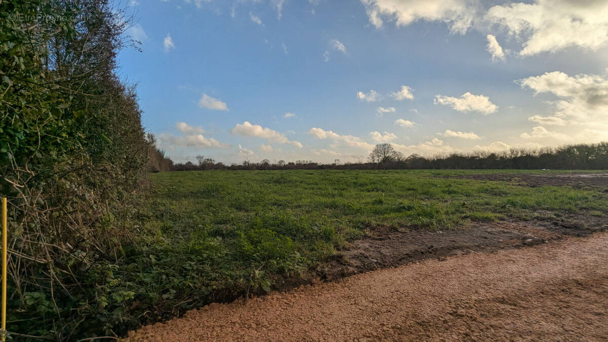 Terrain à FONTENAY-SUR-MER