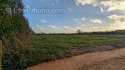 Terrain à FONTENAY-SUR-MER