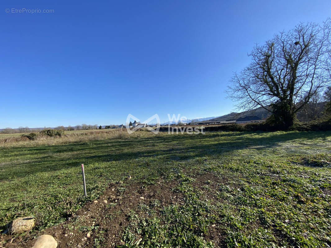 Terrain à ARROS-DE-NAY