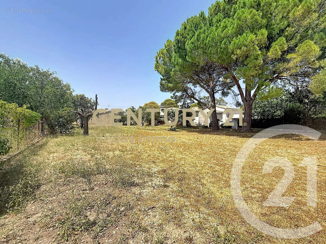Maison 71 m² à Cournonterral  - photo 2