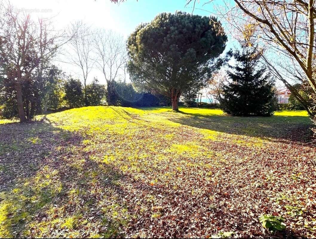 Photo 2 - Terrain à SAINT-MATHURIN