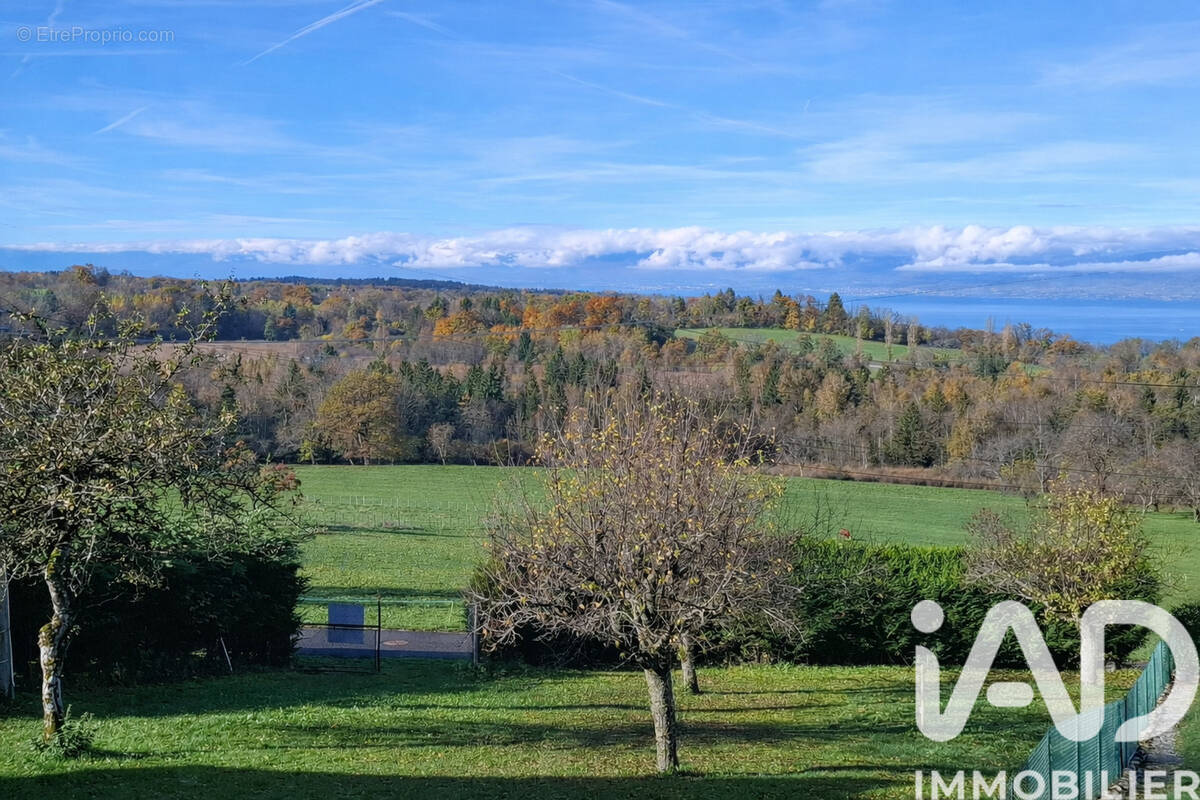 Photo 1 - Terrain à SAINT-PAUL-EN-CHABLAIS