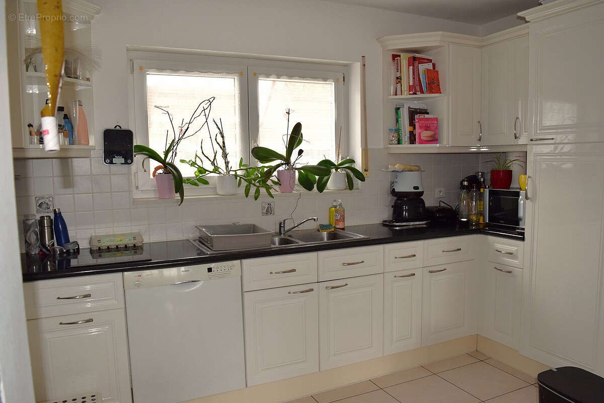 Appartement à SELTZ