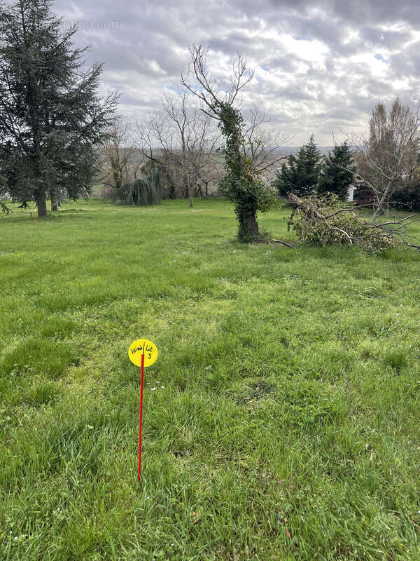Terrain à Bâtir à Quint Fonsegrives (31130) - photo 3