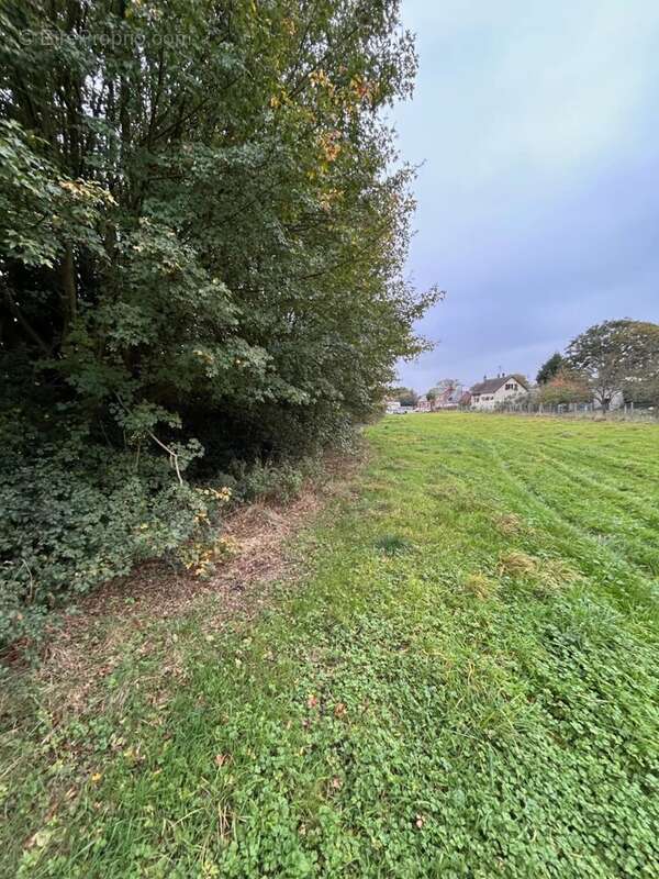 Terrain à GREMEVILLERS