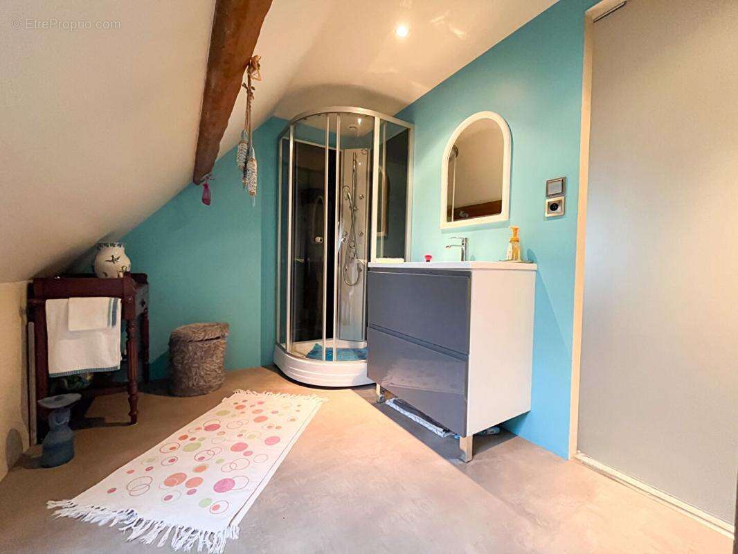 Maison à JEU-MALOCHES