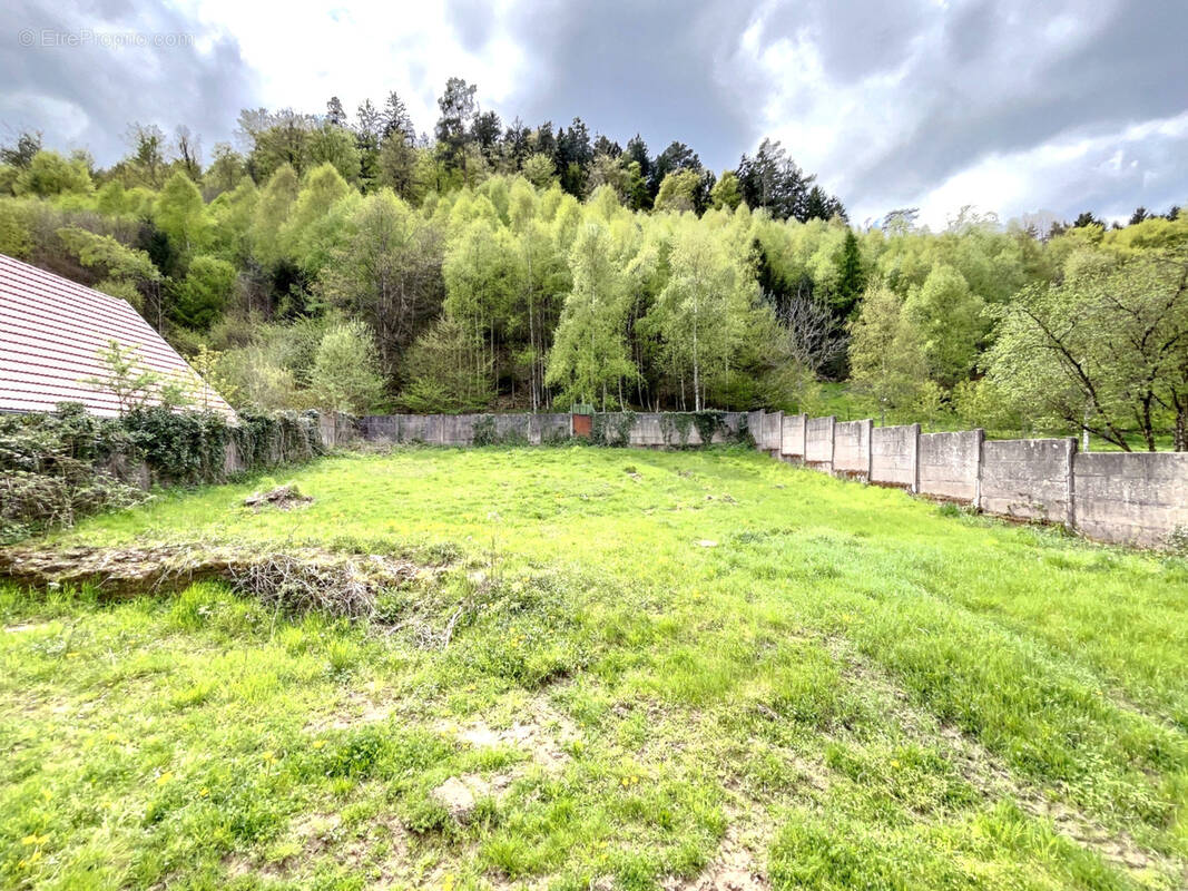 Terrain à DAMBACH