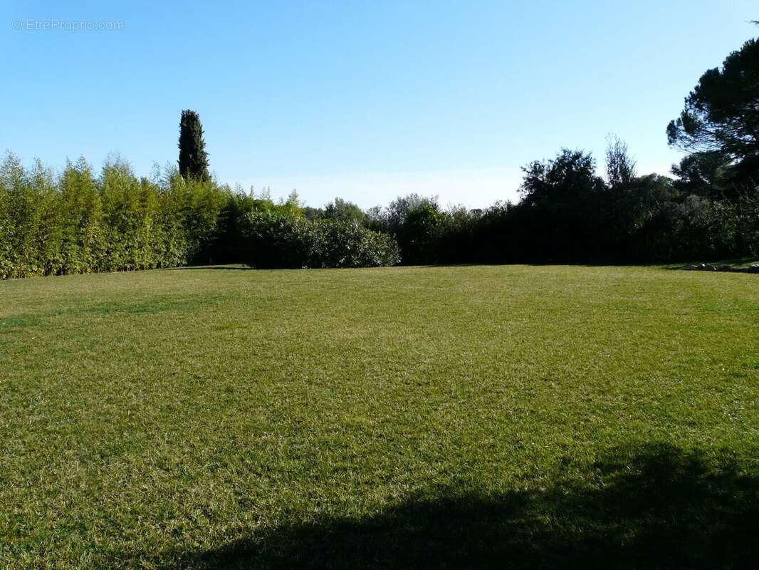 Maison à MOUANS-SARTOUX