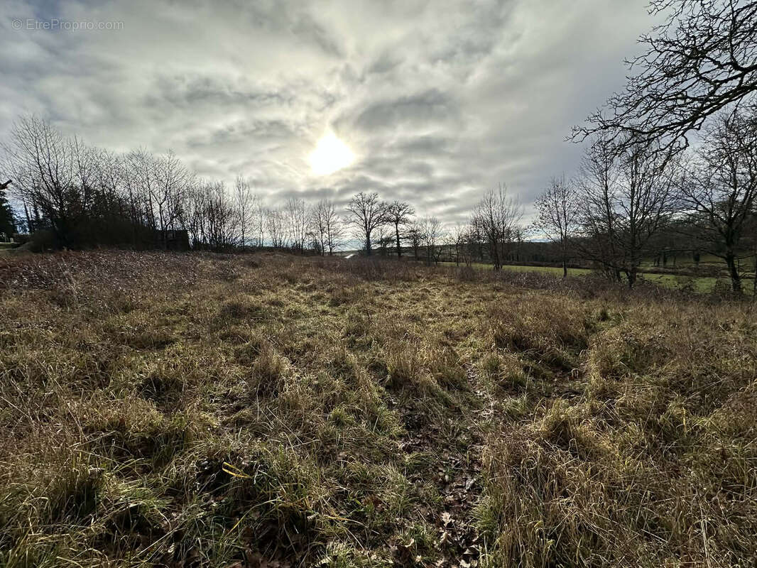 Terrain à SAINT-GERVAIS-D'AUVERGNE