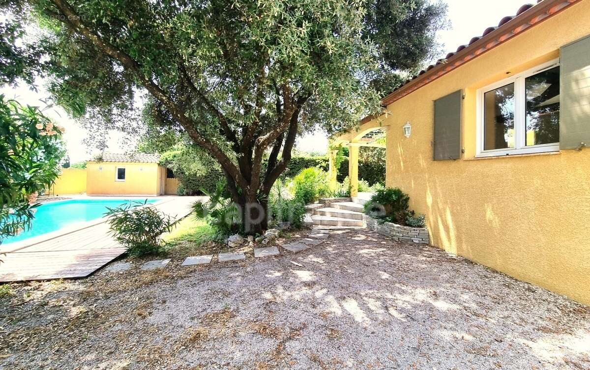Villa de plain-pied de 156m² avec 6 pièces + une dépendance - Terrain arboré de 1400m² avec Piscine - (34160) - photo 4