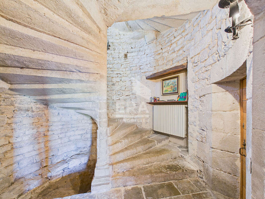 Demeure de Prestige 377m² à ambeyrac - photo 11