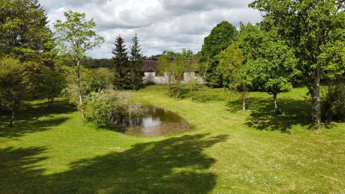 Domaine rare & isolé sur 10 hectares au milieu des champs - 1h30 de paris , parfait pour elevage, permaculture ou simplement viv - photo 15