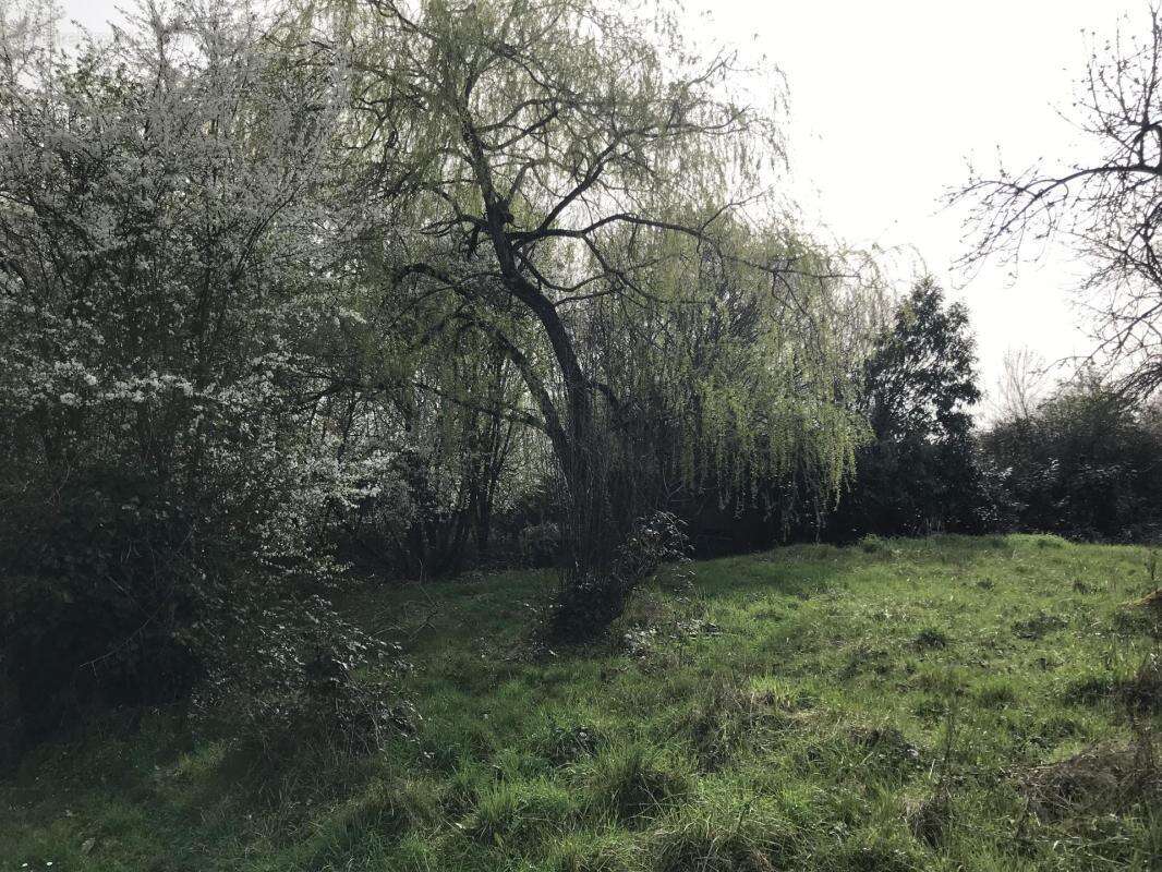 Appartement à VOUNEUIL-SOUS-BIARD
