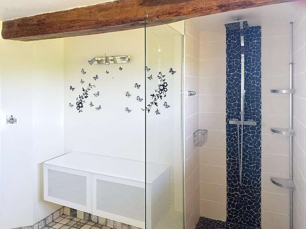 Photo 8 - Maison à LABASTIDE-PAUMES