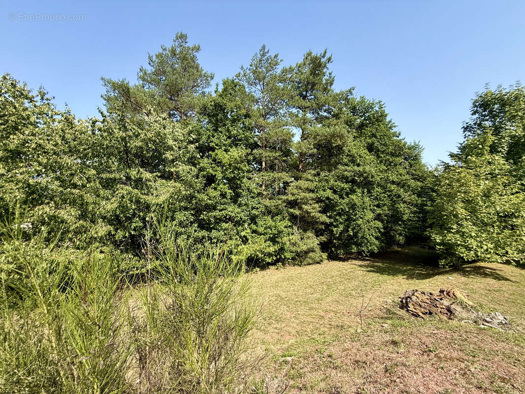 Maison à NEUVE-EGLISE