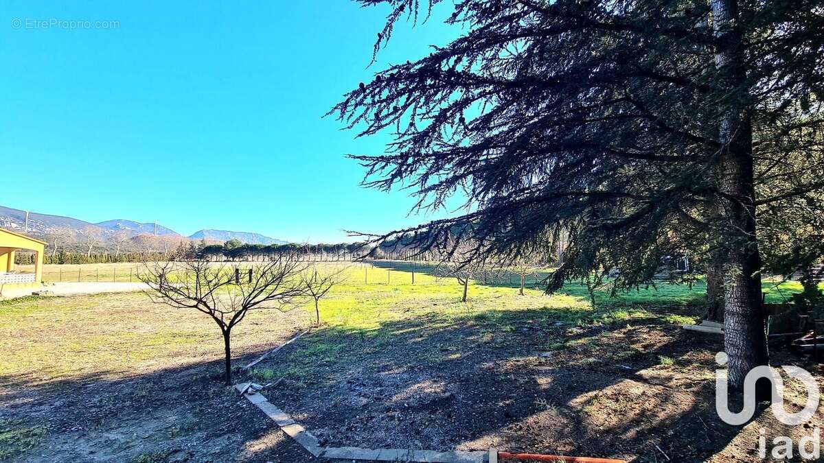 Photo 4 - Maison à CAUDIES-DE-FENOUILLEDES