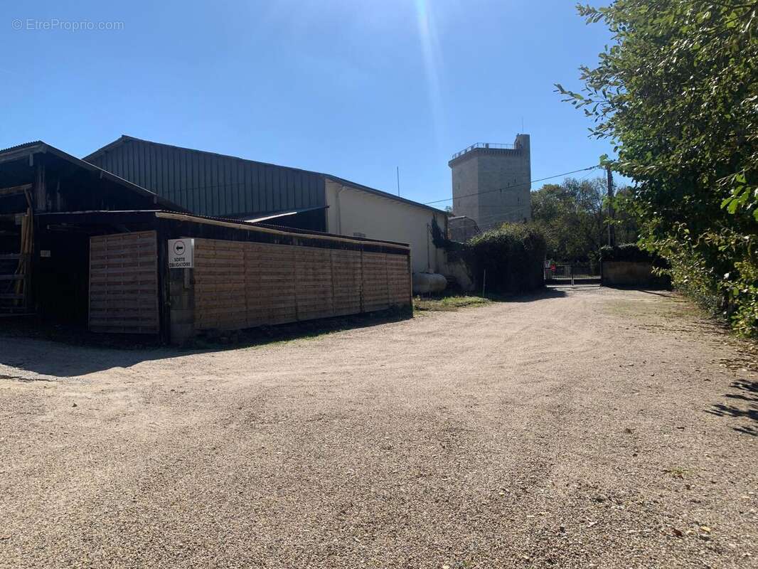 Photo 3 - Commerce à LESPARRE-MEDOC