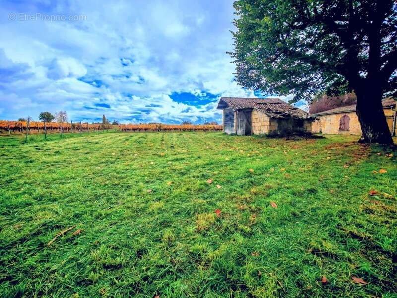 Maison à SAINT-EMILION