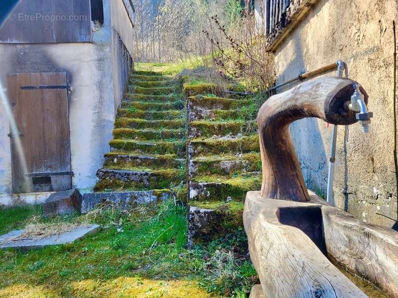 Maison à THOLLON-LES-MEMISES