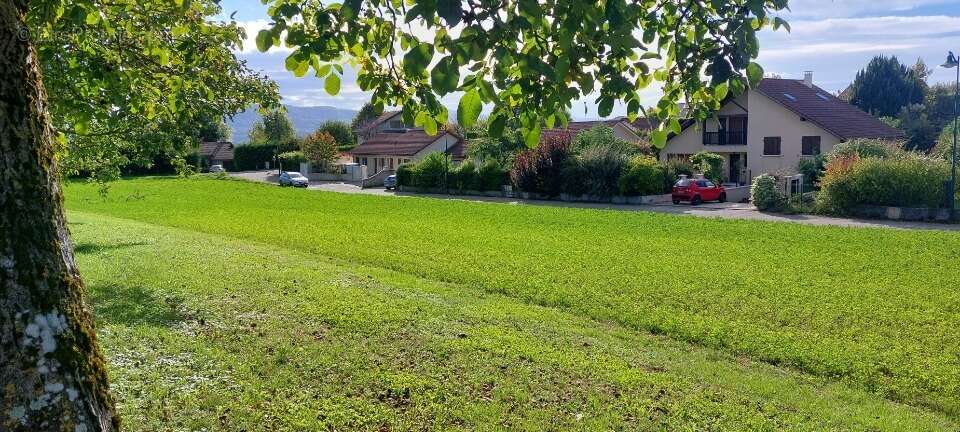 Terrain à SAINT-BLAISE-DU-BUIS