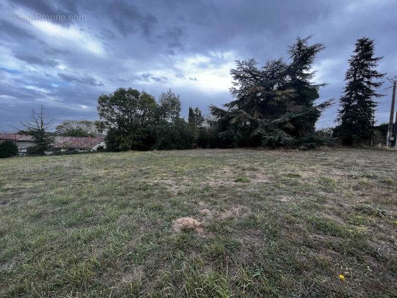 Terrain à SEGOUFIELLE