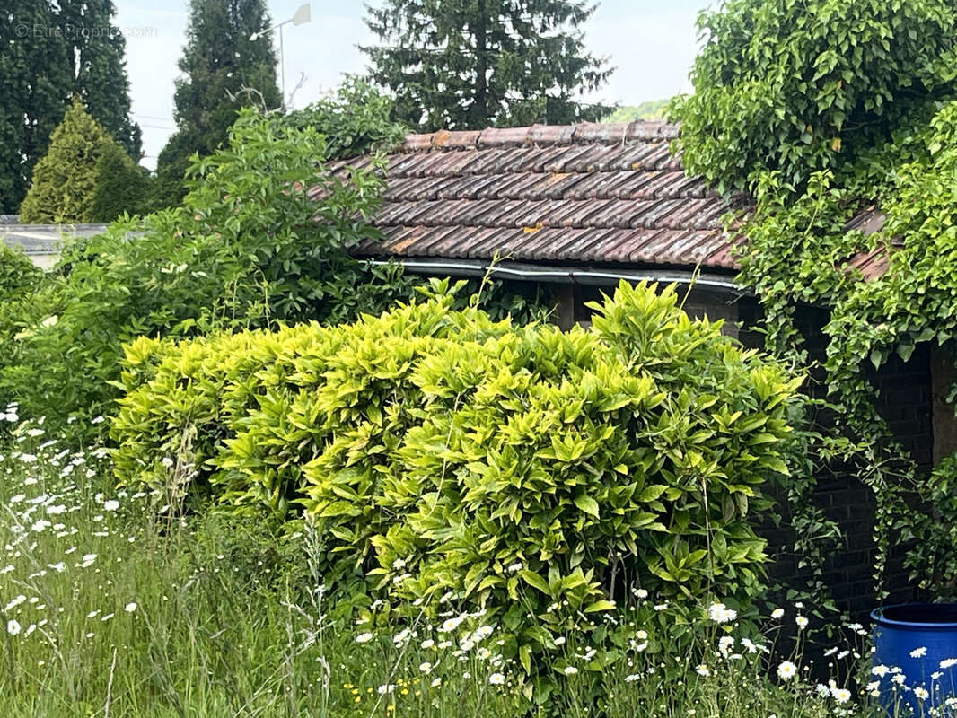 Maison à BLANGY-SUR-BRESLE