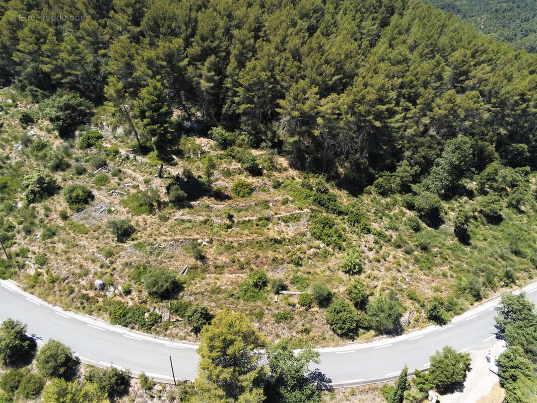 Terrain à PUGET-VILLE