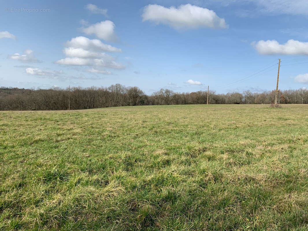 Terrain à BEAUMONT-DE-LOMAGNE