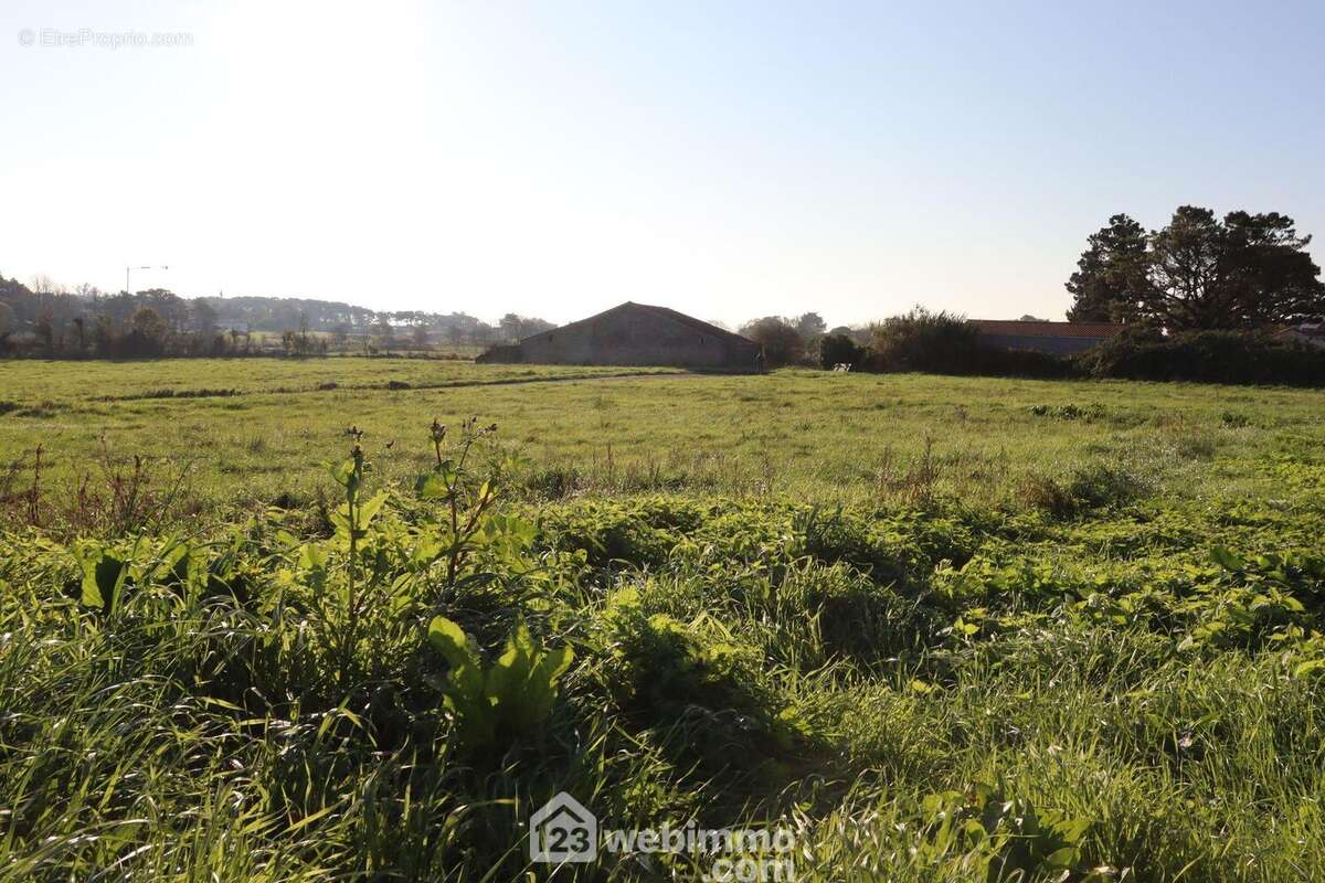 Vue sans obstacle. - Terrain à SAINT-VINCENT-SUR-JARD
