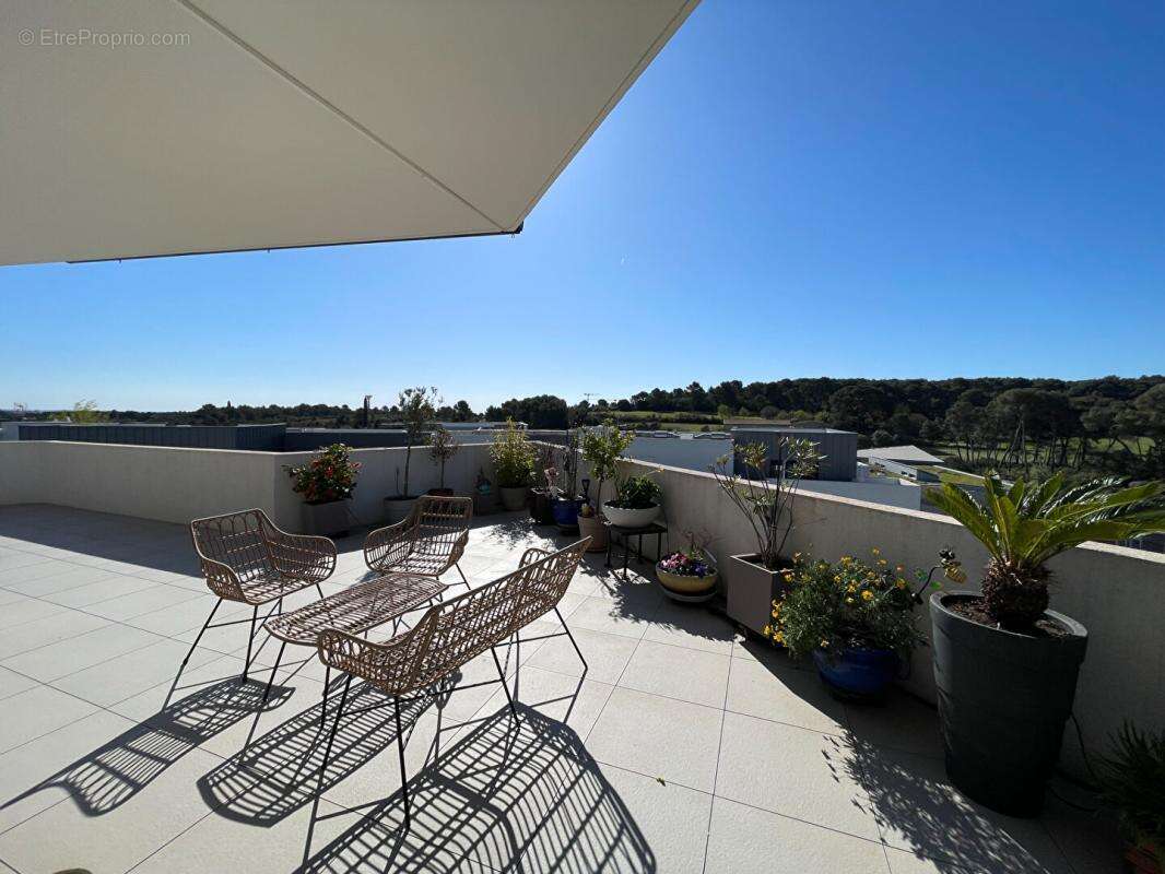 Appartement à CASTELNAU-LE-LEZ