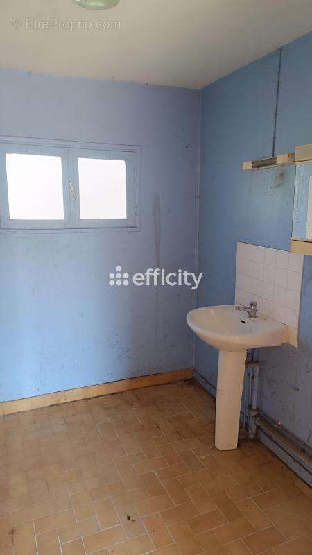Maison 1700 m² à Usson-Du-Poitou  - photo 11